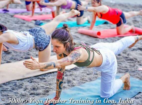 300 Hour Yoga Teacher Training in Goa, India