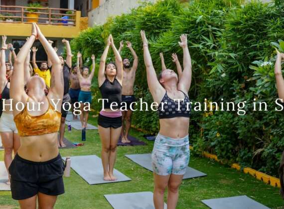 200 Hour Yoga Teacher Training in Spain