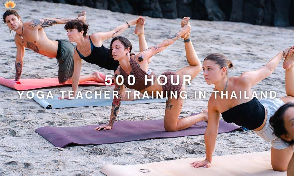 500 hour yoga teacher training in Thailand
