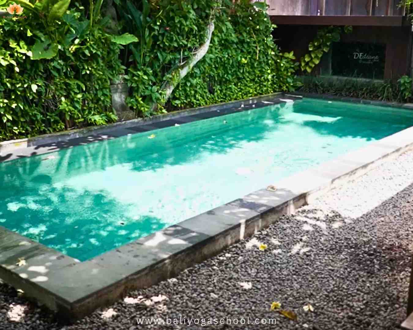 Bali Yoga School campus picture pool Bali Yoga School campus picture pool