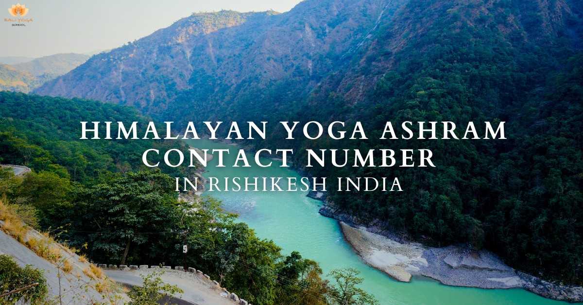 Himalayan Yoga Ashram Contact numbers | Best Yoga Teacher Training In Rishikesh India