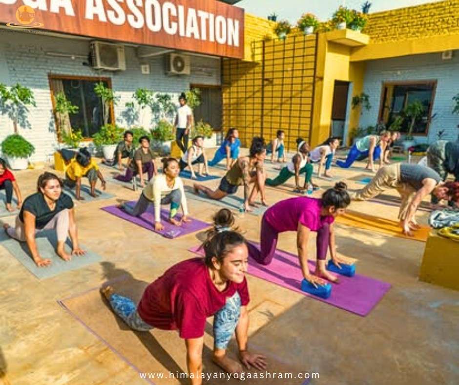 Himalayan Yoga Ashram Pictures Rishikesh Inida