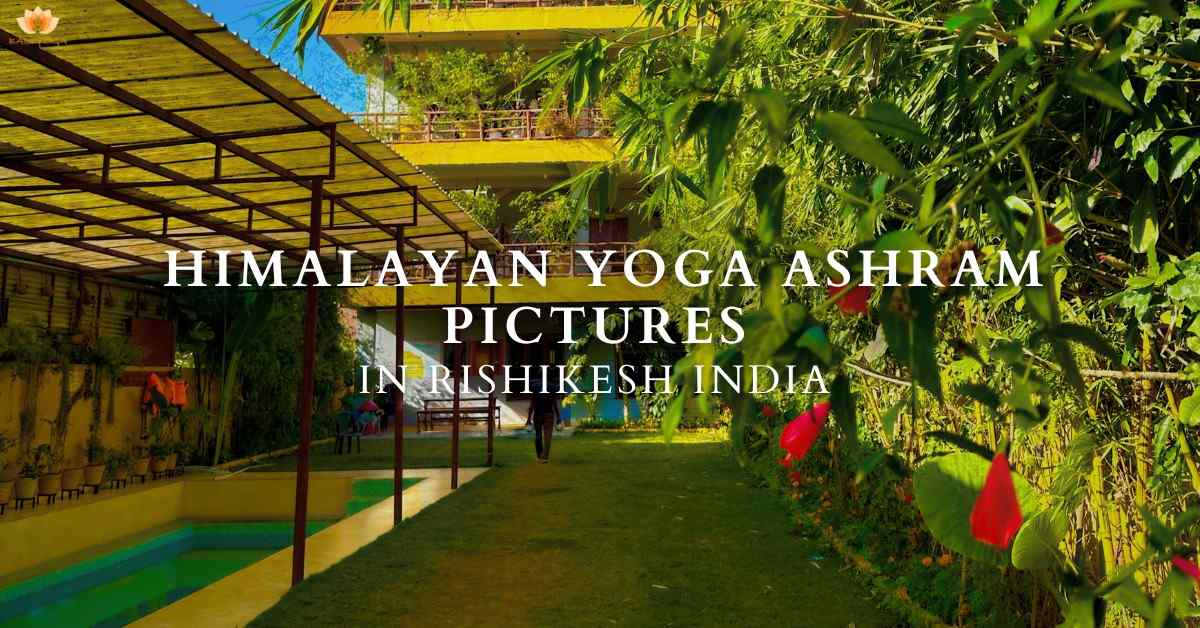 Himalayan Yoga Ashram Pictures | Yoga Teacher Training In Rishikesh India