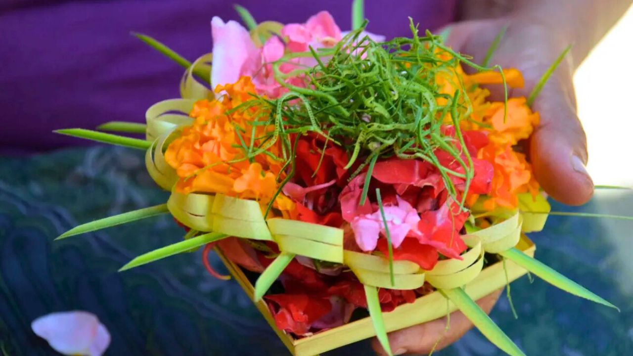 Yoga teacher training in bali