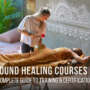 Why Ubud Became a Yoga & Wellness Destination | Bali