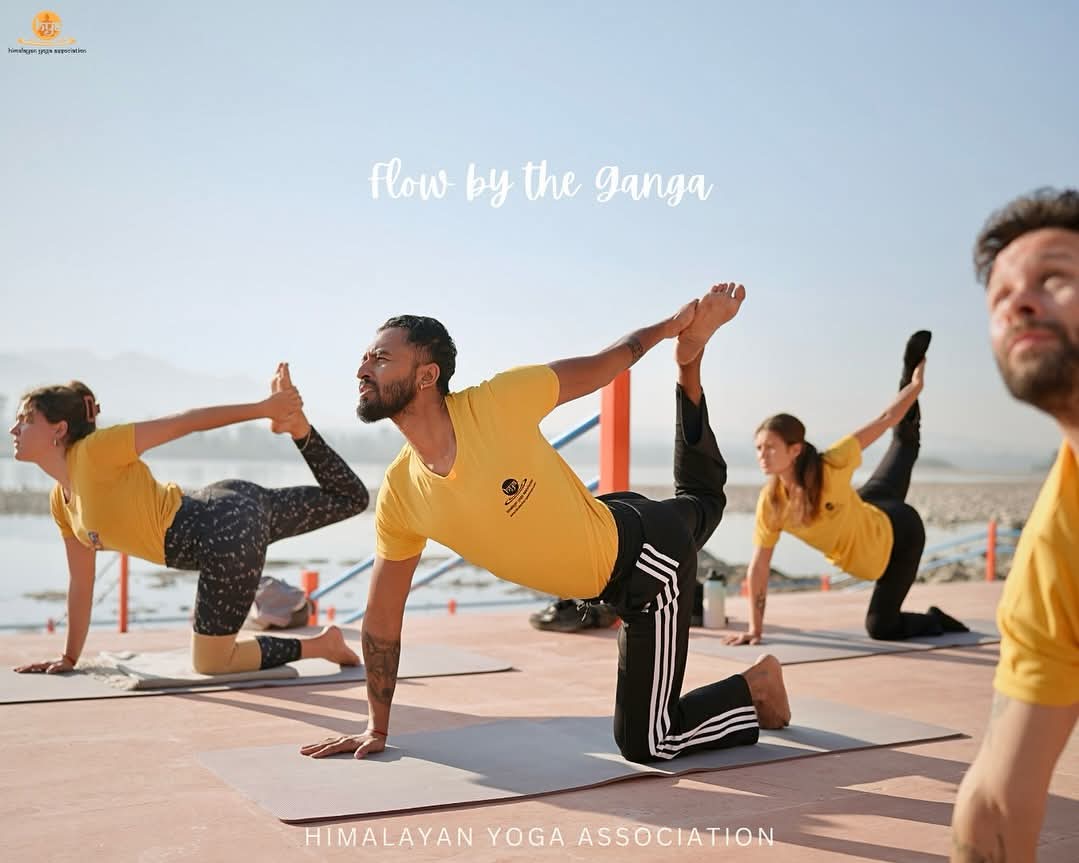 Yoga teacher training course offer at Himalayan Yoga Association in Rishikesh, India